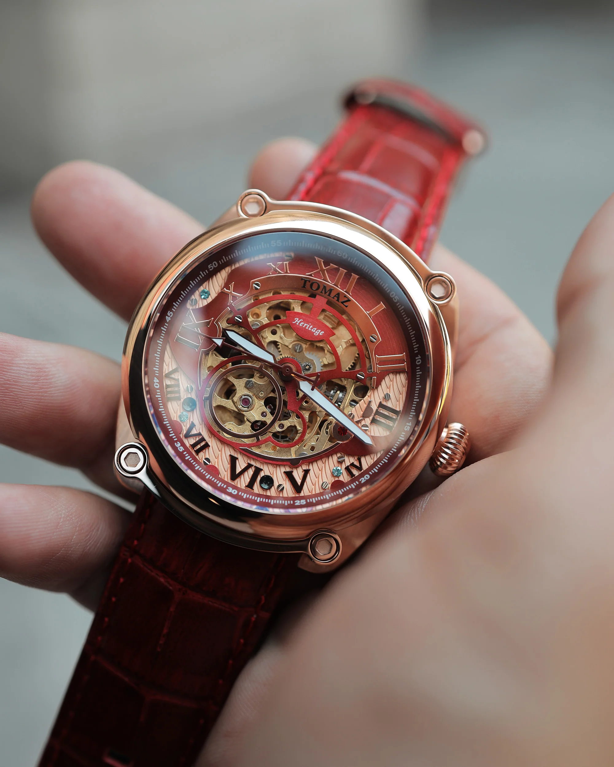 Tomaz Xavier II TW030-D14 Automatic Watch – Bamboo Leather Strap - Image 7